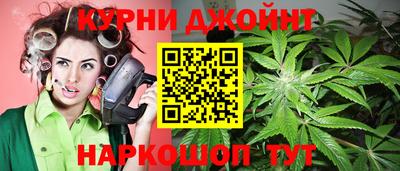 шишки Берёзовский