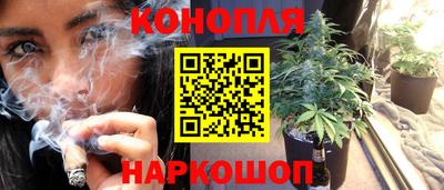 бошки Будённовск