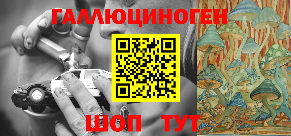 Галлюциногенные грибы Cubensis Будённовск