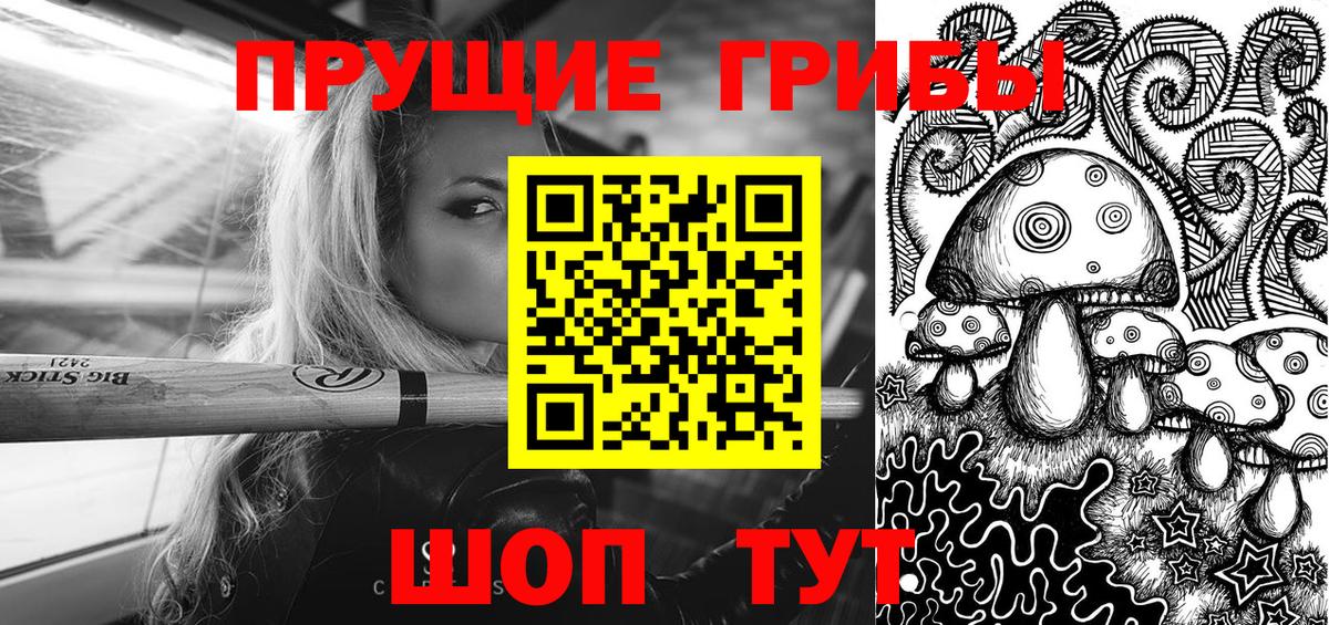 Псилоцибиновые грибы мицелий  Псилоцибиновые грибы GOLDEN TEACHER  Вход с VPN  Будённовск 