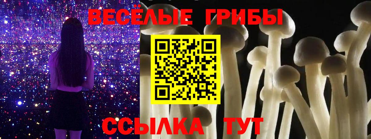 Галлюциногенные грибы Magic Shrooms Будённовск