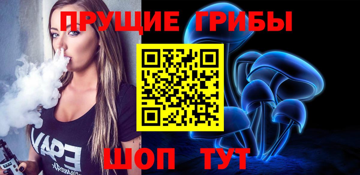 Псилоцибиновые грибы Cubensis  где найти   Будённовск 